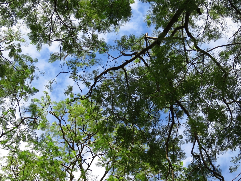 IMG_3862.JPG-2.jpg - 散步