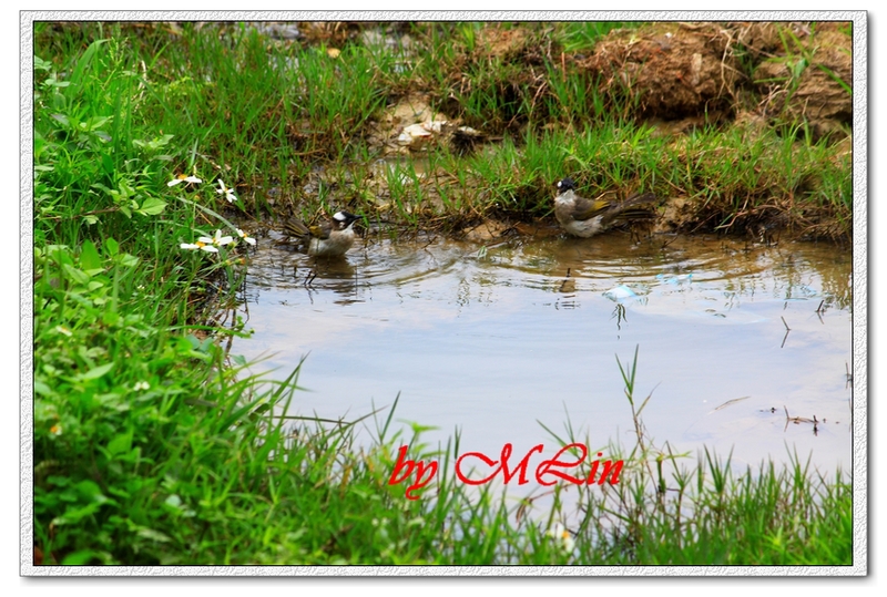 IMG_4880.JPG-3.jpg - 攝影學習