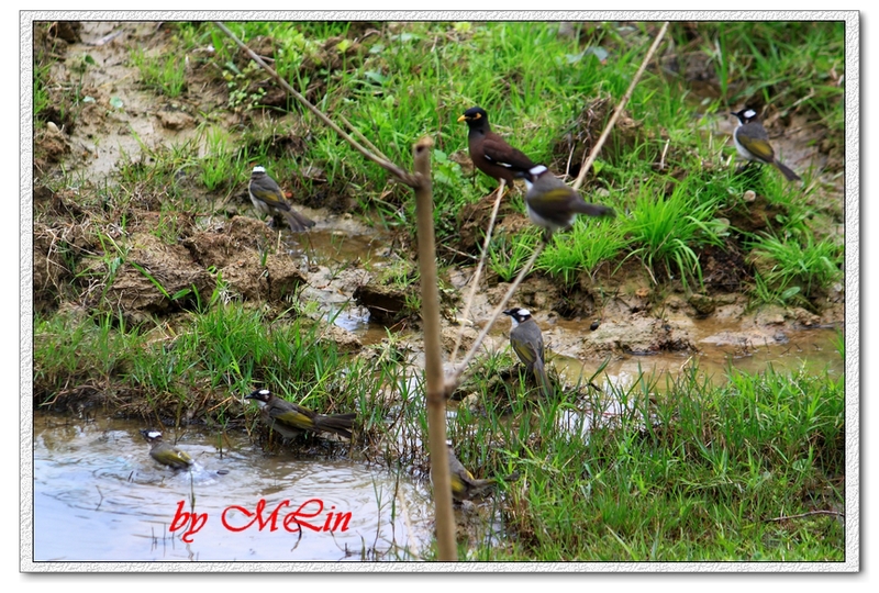 IMG_4823.JPG-3.jpg - 攝影學習