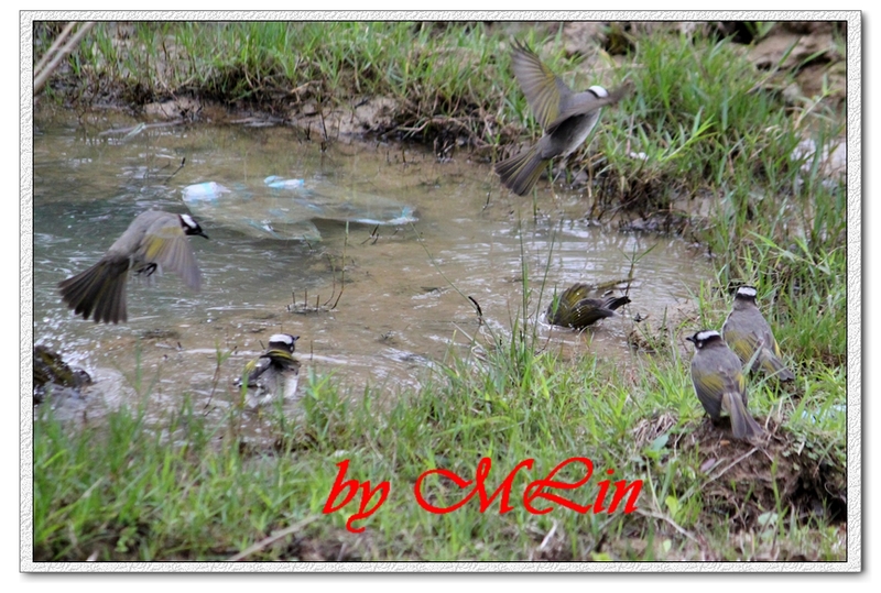 IMG_4711.JPG-3.jpg - 攝影學習