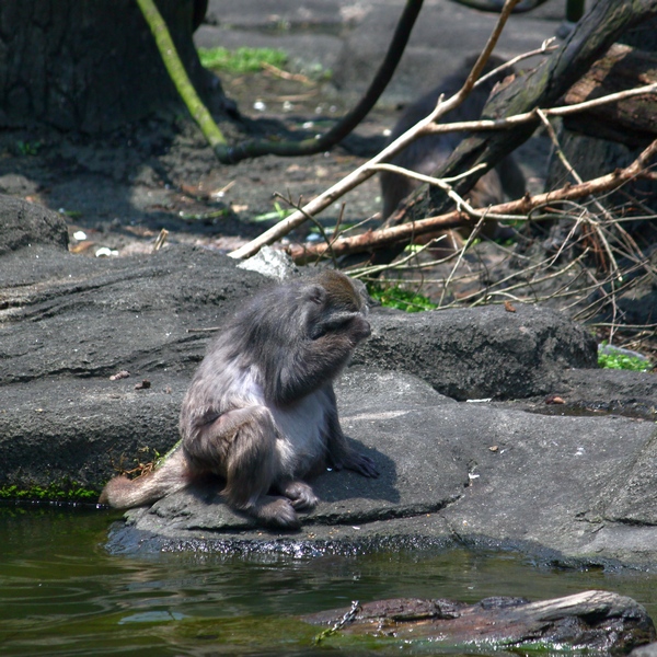 IMG_9080.JPG - 趴趴GO