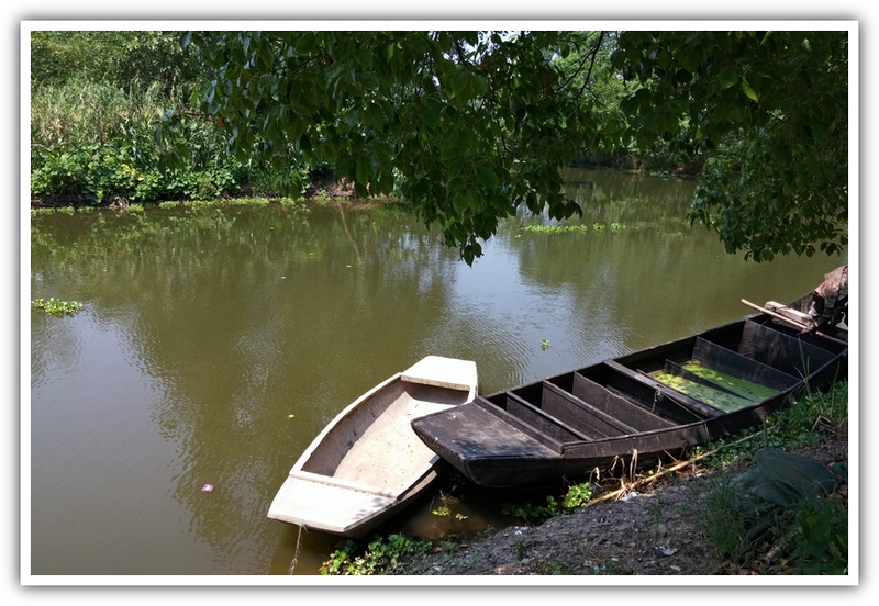 湖鄉漁舟 - 大陸遊