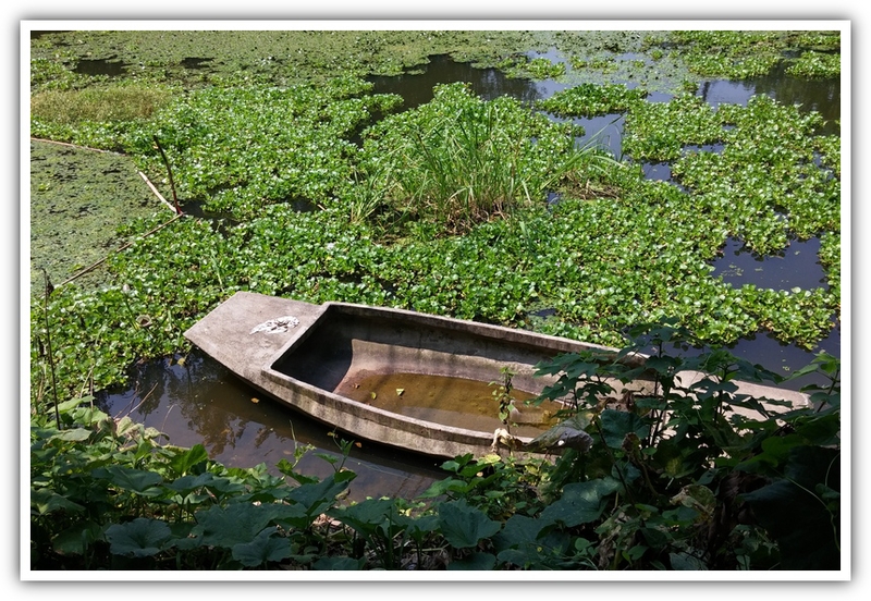 湖鄉漁舟 - 大陸遊