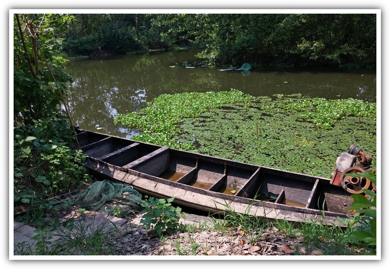 湖鄉漁舟 - 大陸遊