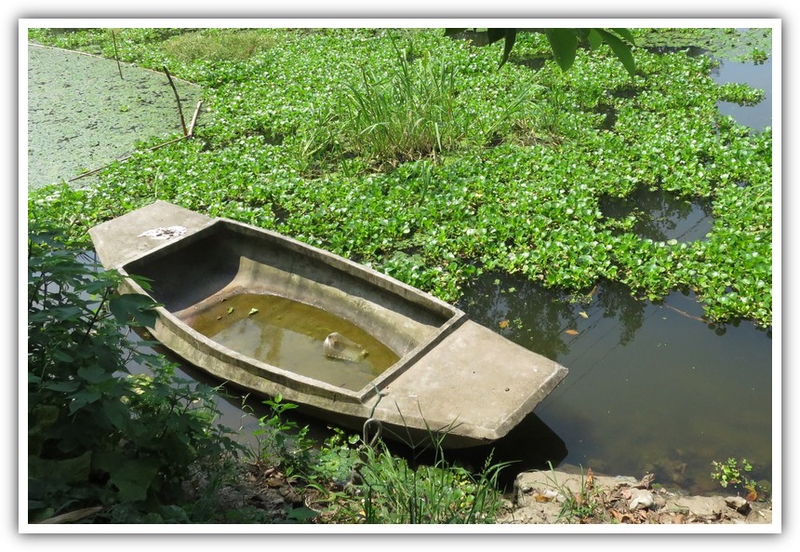 湖鄉漁舟 - 大陸遊