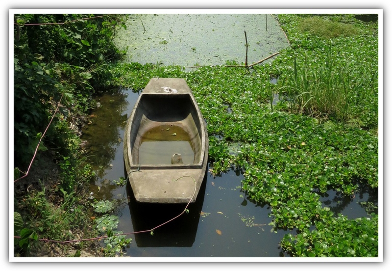 IMG_1307.JPG-2.jpg - 大陸遊