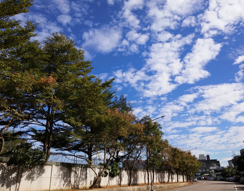 20161220_103025.jpg - 雲 . 夕陽