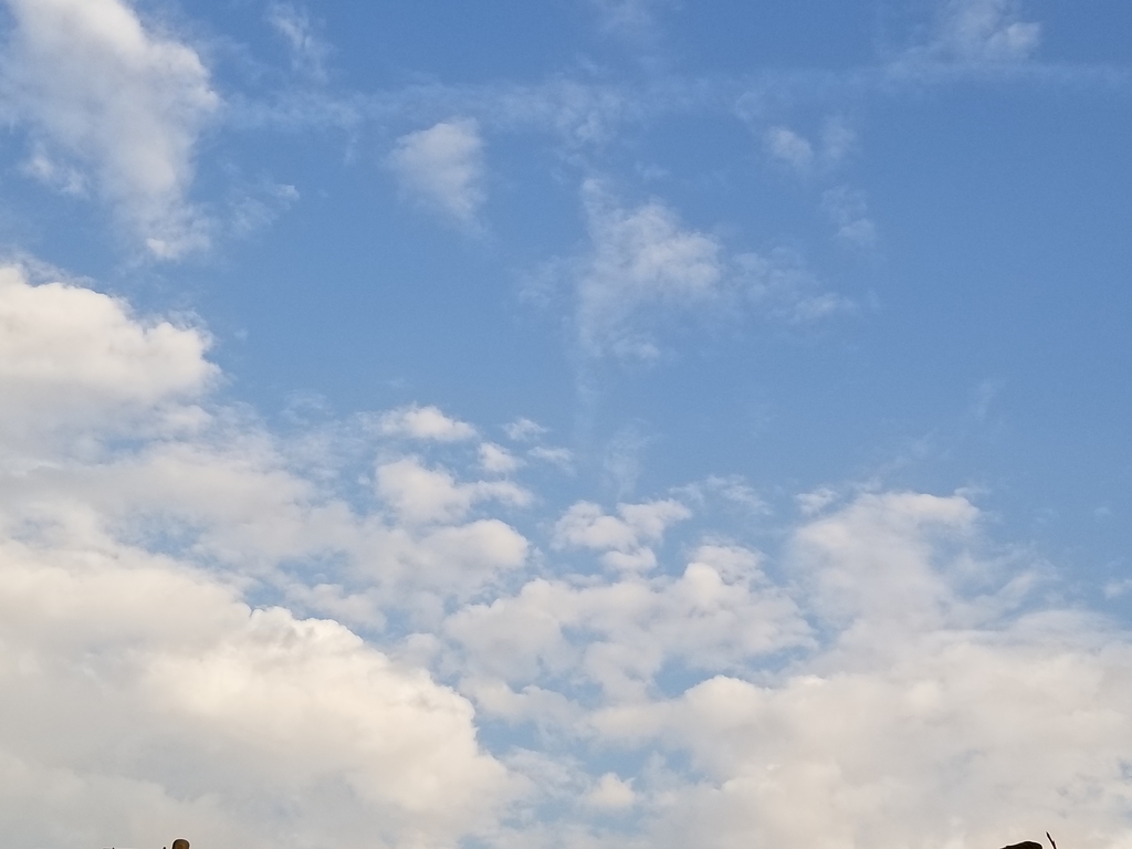 步道 - 雲 . 夕陽