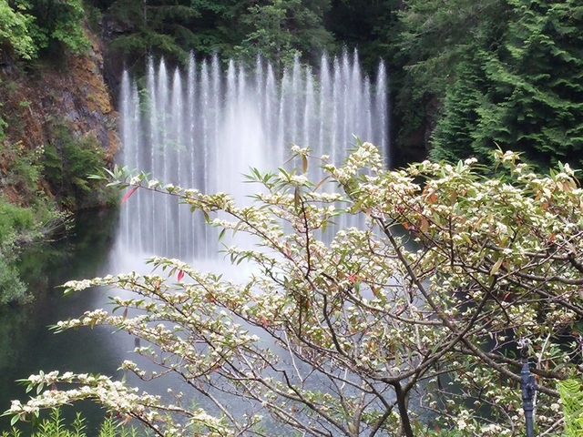 加拿大布查花園 - 雲 . 夕陽