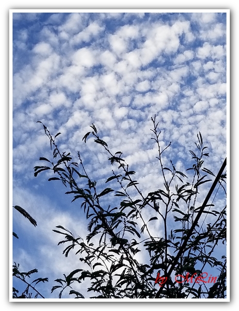 步道美 - 雲 . 夕陽