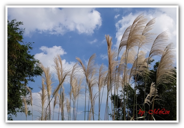 步道美 - 雲 . 夕陽