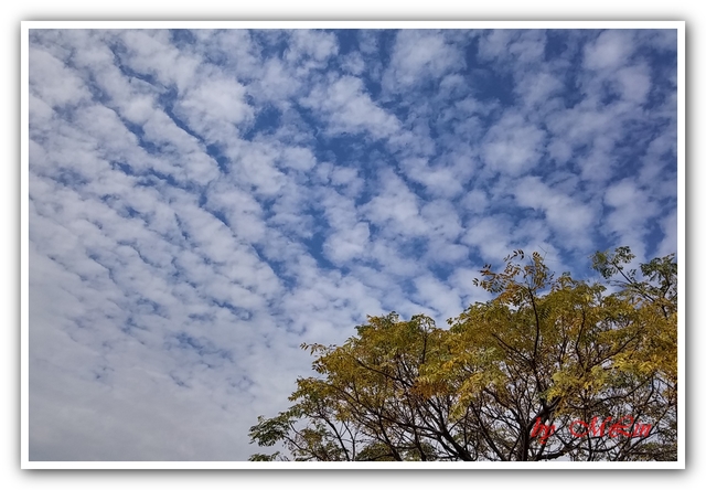 步道美 - 雲 . 夕陽
